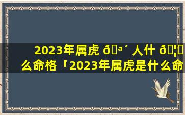 2023年属虎 🪴 人什 🦆 么命格「2023年属虎是什么命五行属什么」